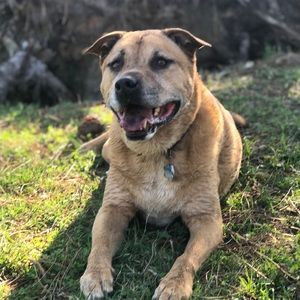 Meet your Posher, Jon